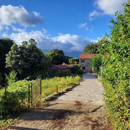 Chez Paulette - Meuble De Tourisme Classe 3 Etoiles Zonza Εξωτερικό φωτογραφία