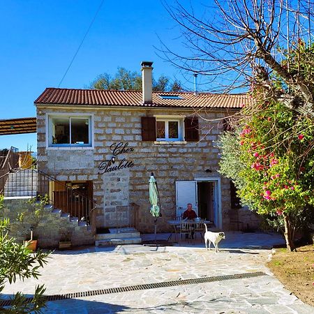 Chez Paulette - Meuble De Tourisme Classe 3 Etoiles Zonza Εξωτερικό φωτογραφία