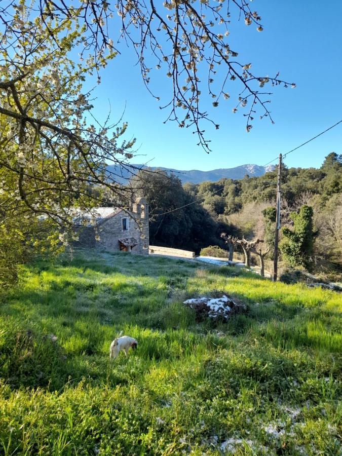 Chez Paulette - Meuble De Tourisme Classe 3 Etoiles Zonza Εξωτερικό φωτογραφία