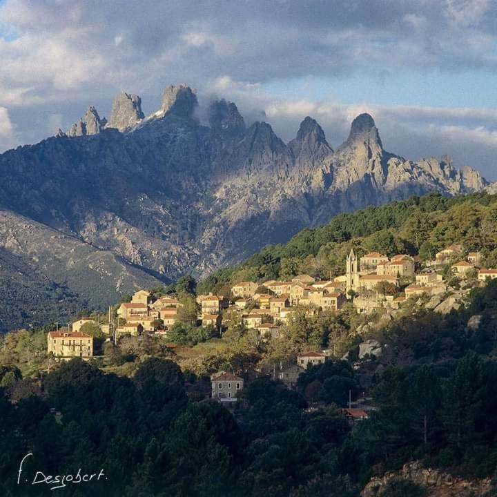 Chez Paulette - Meuble De Tourisme Classe 3 Etoiles Zonza Εξωτερικό φωτογραφία
