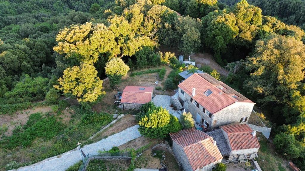 Chez Paulette - Meuble De Tourisme Classe 3 Etoiles Zonza Εξωτερικό φωτογραφία