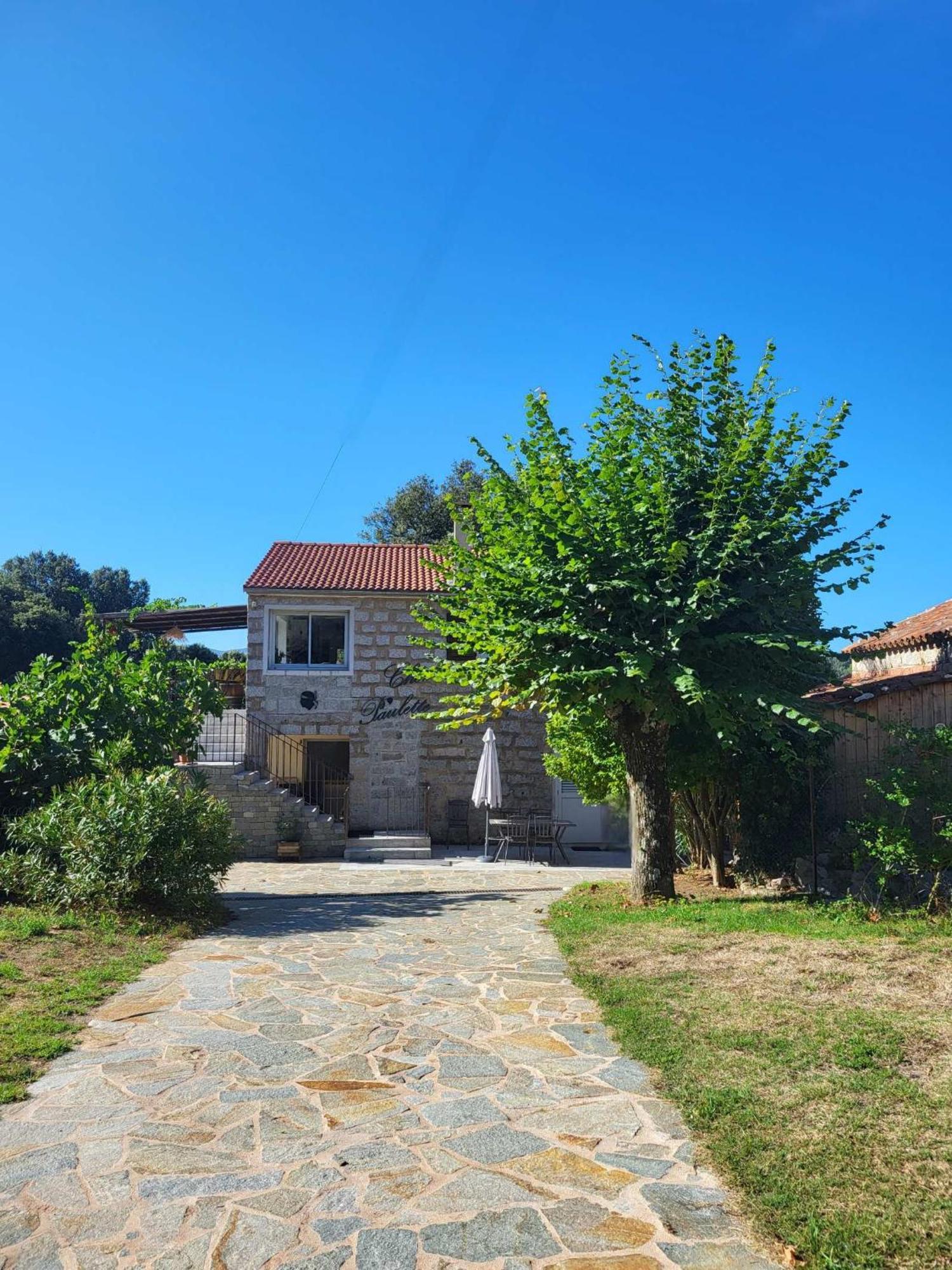 Chez Paulette - Meuble De Tourisme Classe 3 Etoiles Zonza Εξωτερικό φωτογραφία