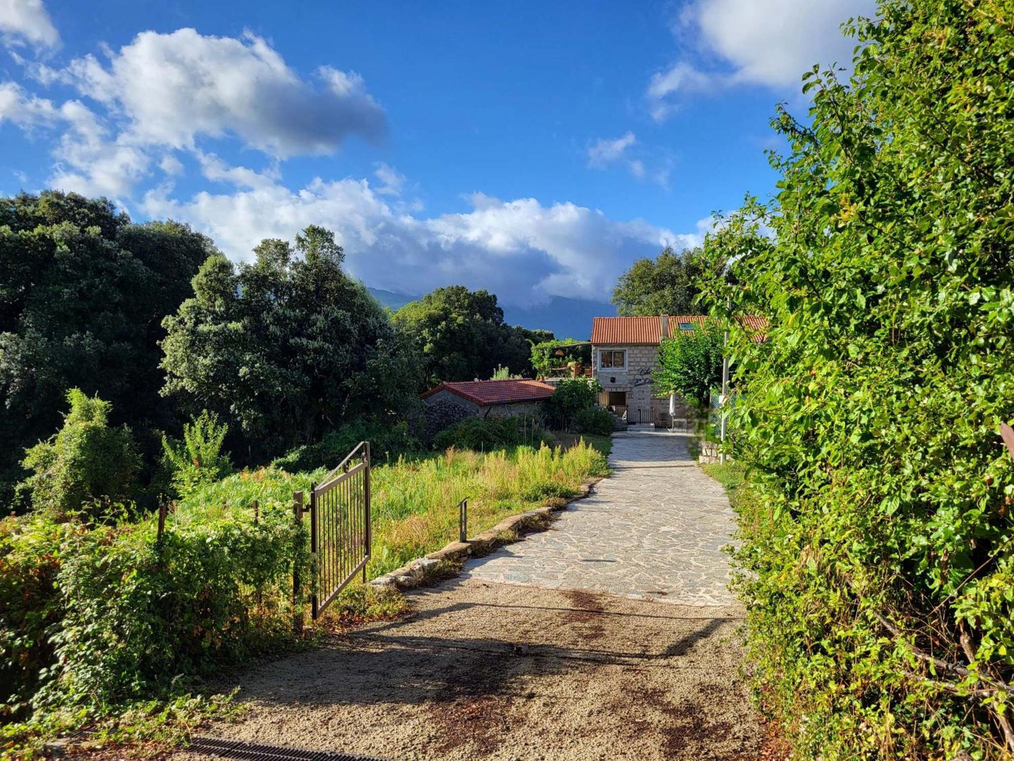 Chez Paulette - Meuble De Tourisme Classe 3 Etoiles Zonza Εξωτερικό φωτογραφία